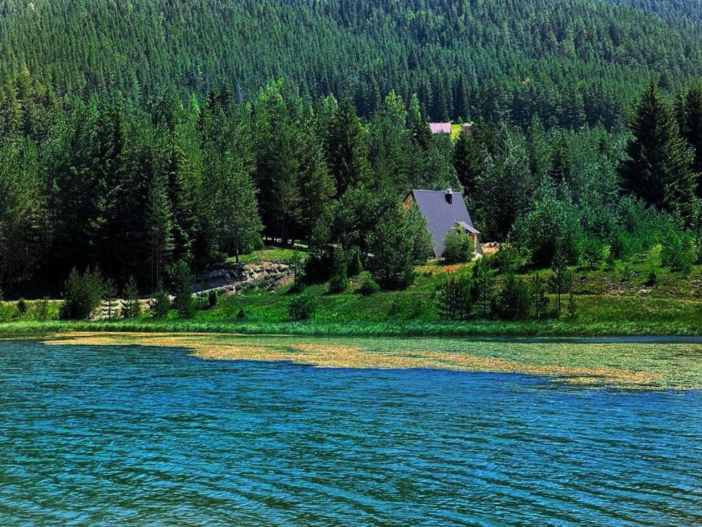 Zminica Lake House Žabljak Eksteriør billede
