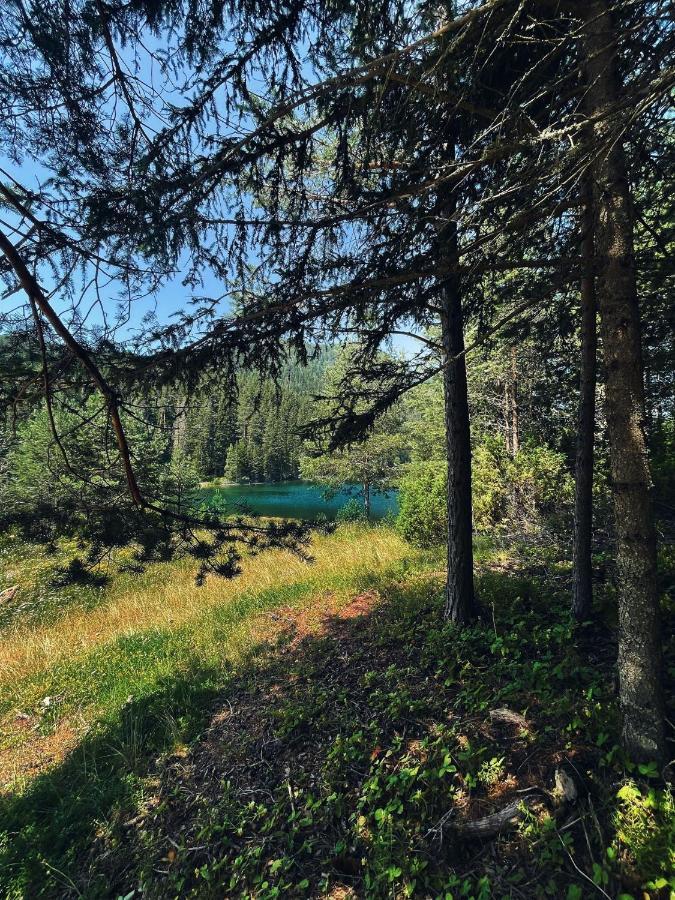 Zminica Lake House Žabljak Eksteriør billede