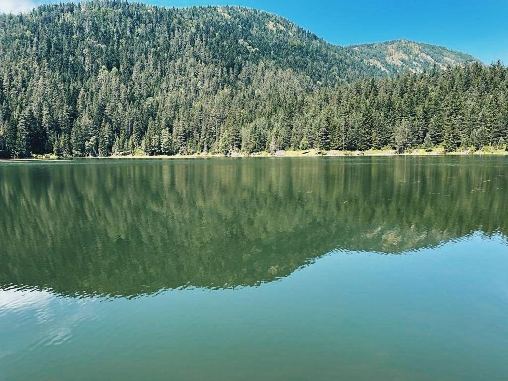 Zminica Lake House Žabljak Eksteriør billede