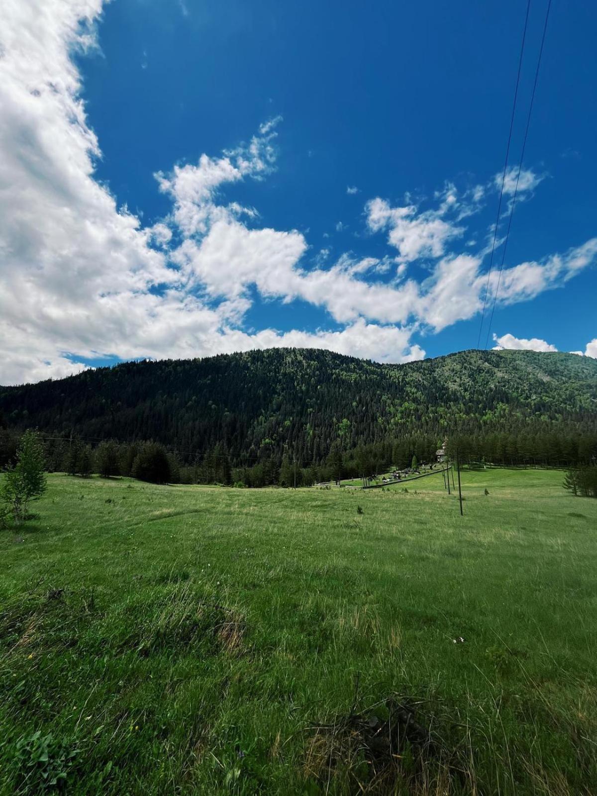 Zminica Lake House Žabljak Eksteriør billede