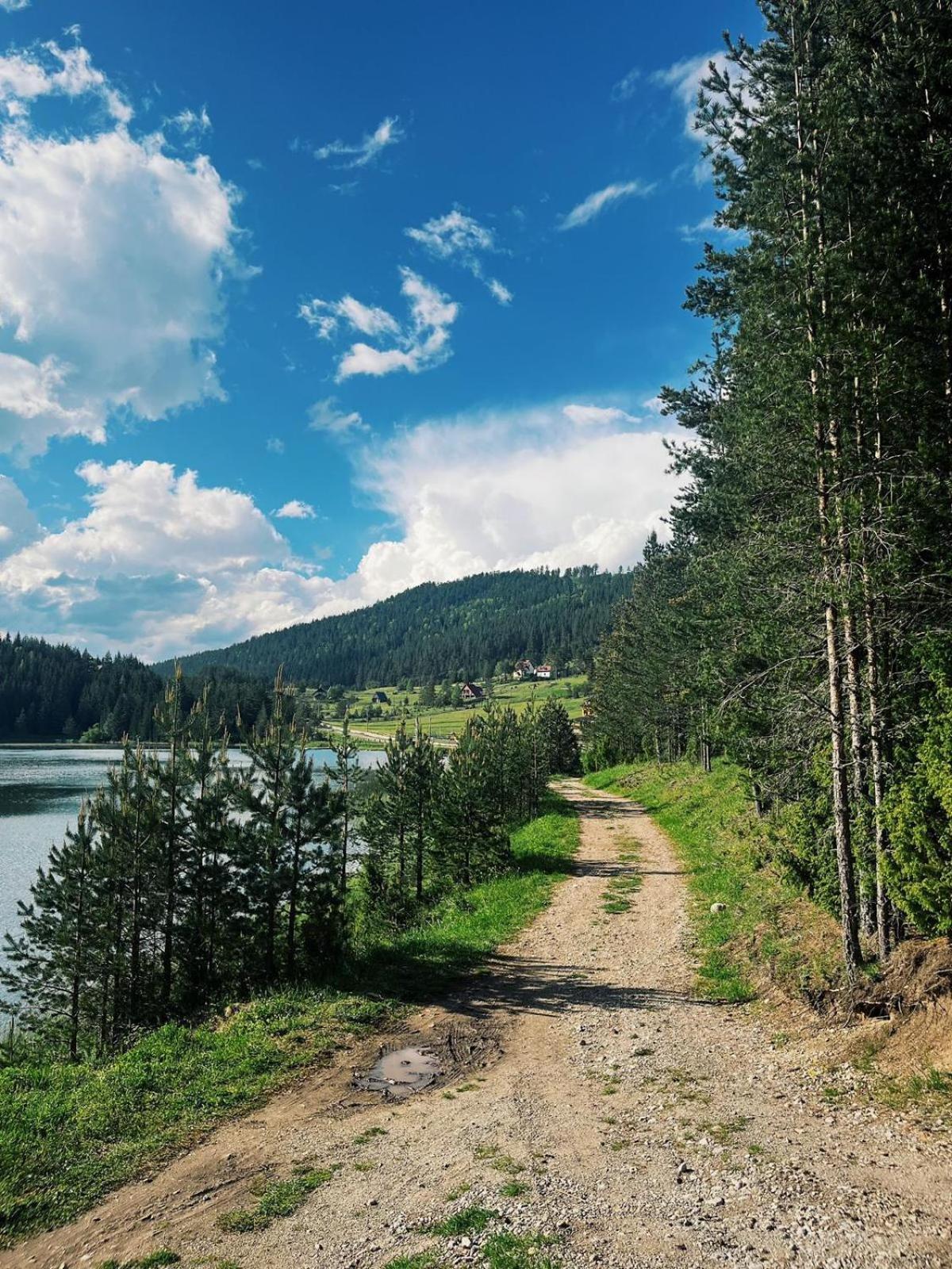 Zminica Lake House Žabljak Eksteriør billede