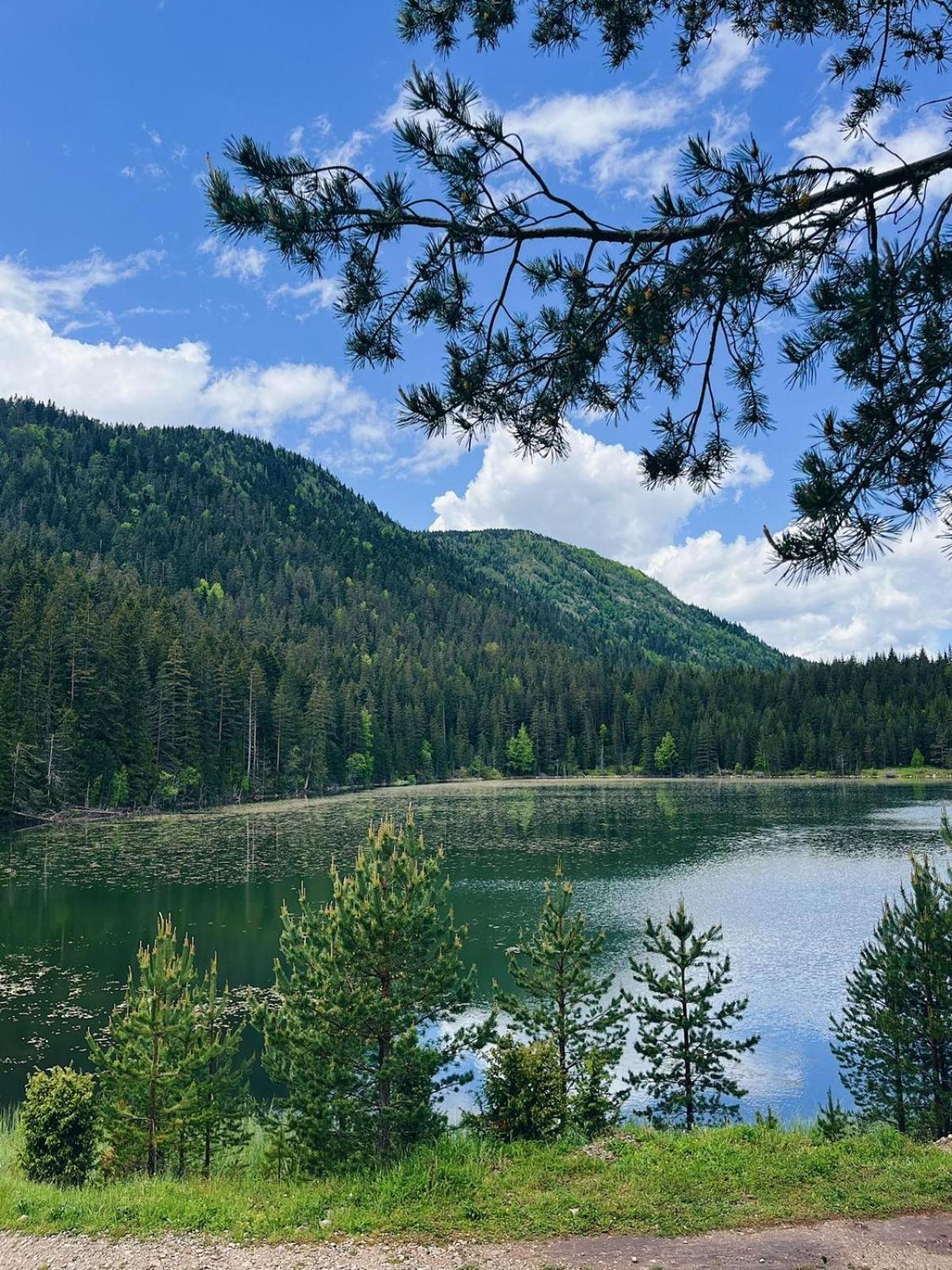 Zminica Lake House Žabljak Eksteriør billede