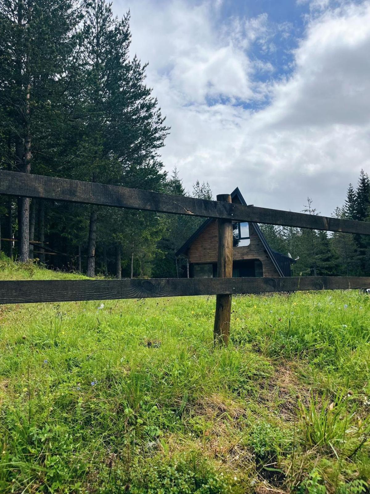 Zminica Lake House Žabljak Eksteriør billede